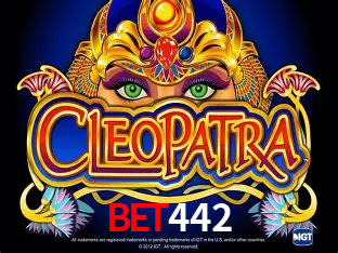 A Experiência Imersiva dos Cassinos Ao Vivo no bet442