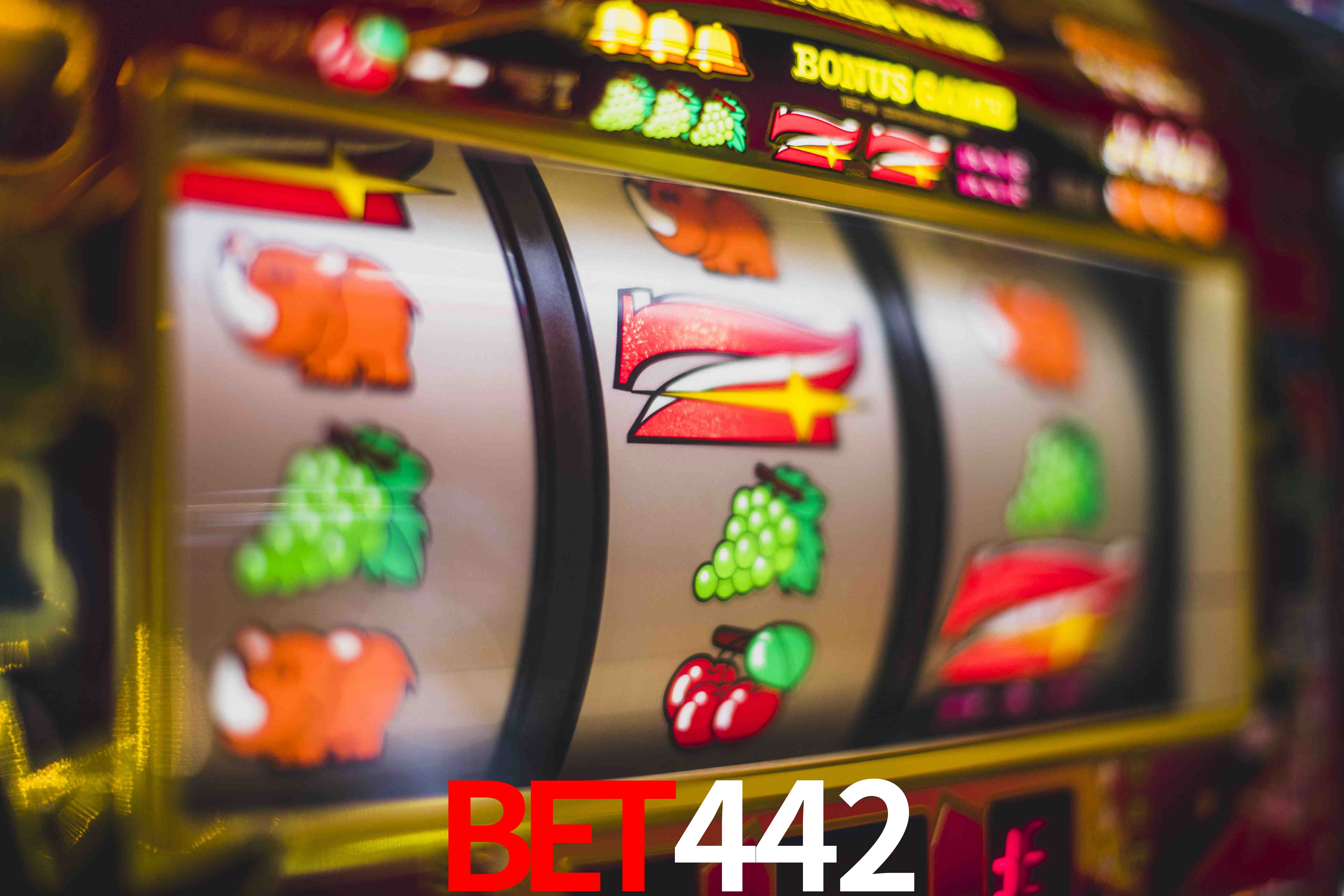 Aviator Game bet442